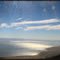 ~~Salton Sea through the canopy~~