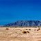 Vers Occotillo Wells