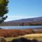 Near Area 51 - Pahranagat Wildlife Area