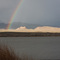 Upper Pahranagat Lake, rainbow
