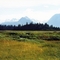 Road near Valdez