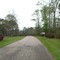 Rural Springfield, LA