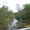 Tickfaw River @ Hwy 441 North View