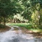 Cadwell Driveway