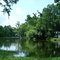 Bayou Corne