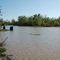 Grand Bayou - Assumption Parish, Louisiana