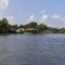 Swamp Tour 1