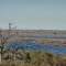 New Orleans from Plaquemines Marsh