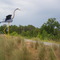 Restoration Park