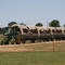 Global Wildlife Wagon Ride