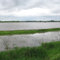 Flooding in Shenendoah