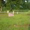 Cowan Cemetery (Hwy 34 at Blackwell Rd, 71292)