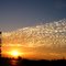 Livermore Sunset