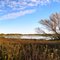 Late Afternoon at Busse Lake