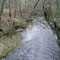 Little Chapapeela Creek, downstream