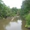 Tchefuncte River @ Hwy 16 North View