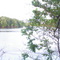 Ouachita River at Prairion Bayou