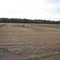 Hay Field