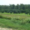 slocum, la, on a levee