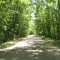 Scarey Woods Lane, Plaucheville, LA