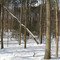 Ceres Park Snow