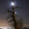 Jupiter, Venus & The Moon