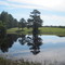 Reflections at the Arkansas/Louisiana border