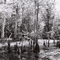 Dans le Bayou de Schriever