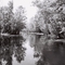 Dans le Bayou de Schriever