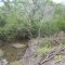 Tchefuncte River @ Hwy 10 South View