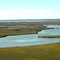 Mississippi delta's saltwater marshes