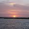 Louisiana Marsh