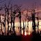 Cajun Sunset