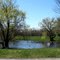 Pond