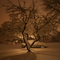 #106 It's blizzard time