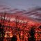 winter sunset
