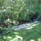 Vine Brook