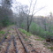 Abandoned rail line next to rte 27 in Acton