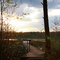 Wooden Walkway to Grassy Pond