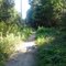 SBVRRy Facing south near Nutting Road