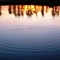 Вечерни размисли за физиката, природата и още нещо.../ 'Evening thoughts about the physics , the nature and another thing ...'
