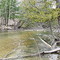 Betsie River, Benzie County, MI