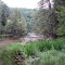 Pere Marquette State Forest