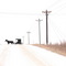 Amish Buggy, First Snowfall In SE Minnesota