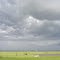 Rolling Clouds over Pasture