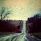 Blackbirds flying over dirt road