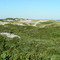 Fire Island National Seashore