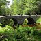 Double arch stone bridge
