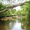 Maurice River
