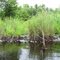 Willow Grove Lake Waterfalls